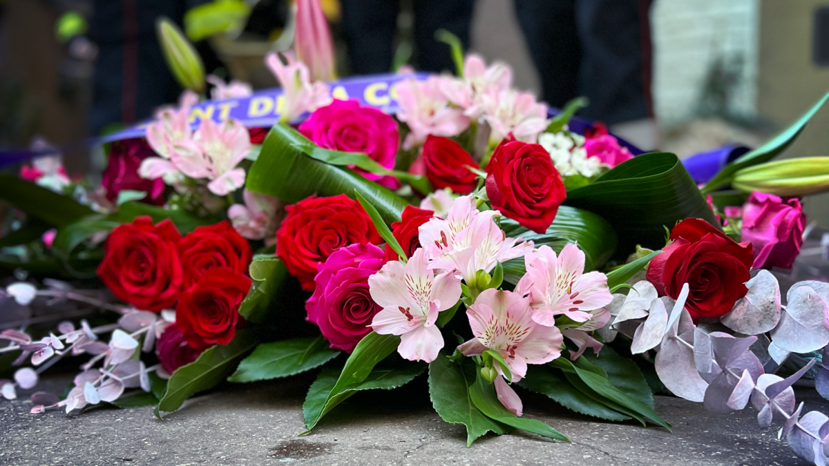 Cérémonie David ANGUILLE